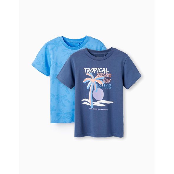 Σετ 2 μπλούζες κοντομάνικες αγόρι "Tropical state of mind" μπλε-γαλάζιο