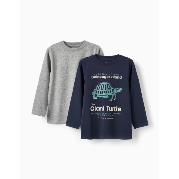 Σετ 2 μπλούζες "Giant turtle" μπλε/γκρι μελανζέ