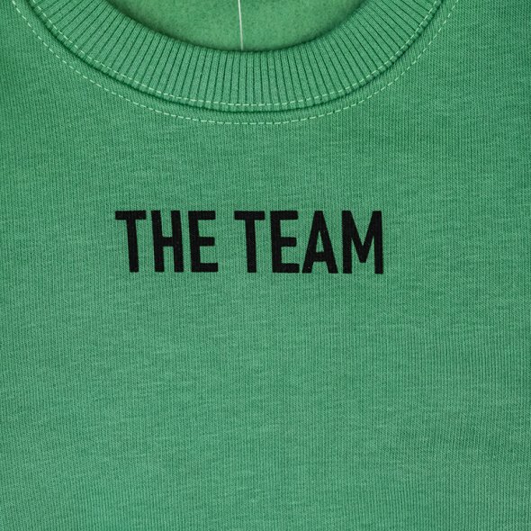 Μπλούζα φούτερ "The team" μέντα
